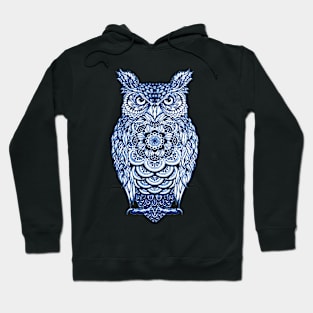 Blue Owl, Fun Bird Graphic For Owl Lovers Hoodie